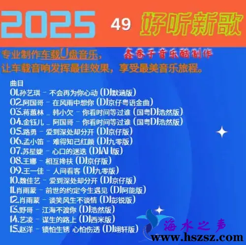 群星DJ《2025好听新歌49》.webp