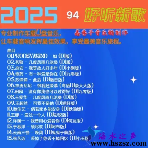 群星DJ《2025好听新歌94》.webp