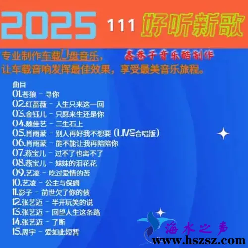 群星《2025好听新歌111》.webp