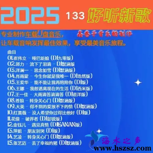 群星DJ《2025好听新歌133》.webp