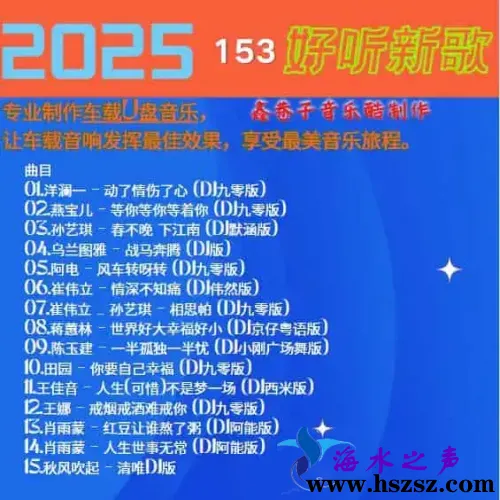 群星DJ《2025好听新歌153》.webp