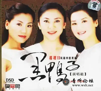 风雨中的美丽.webp