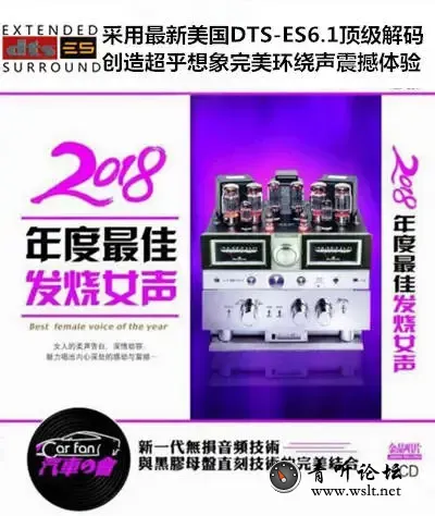 2018年度最佳发烧女声.webp