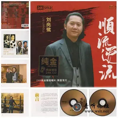 刘亮鹭顺流逆流.webp